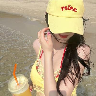 海雀封面
